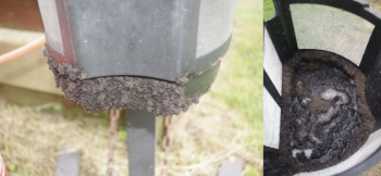 Midge Machine results